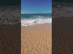 GAME ZONE DTV ELÉTRICO SCOOTER TRACKED TANK ETV SNOWMOBILE ATV